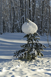 Similar image 21661445