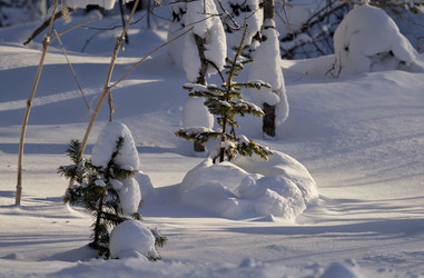 Similar image 21661454