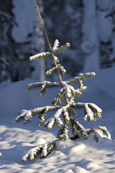 Similar image 21661457