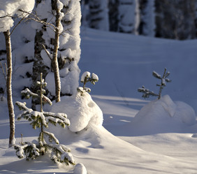 Similar image 21661458