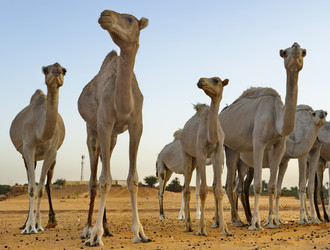 Similar image 21661463