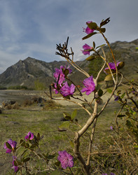 Similar image 21661477