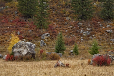 Similar image 21661481