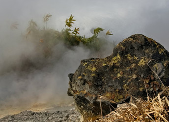 Similar image 21661484