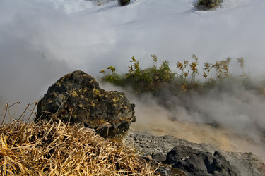 Similar image 21661486