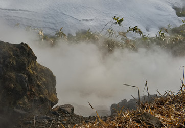 Similar image 21661787