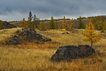 Similar image 21661788