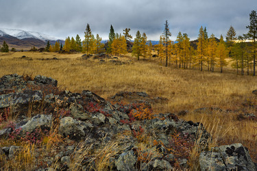 Similar image 21661790