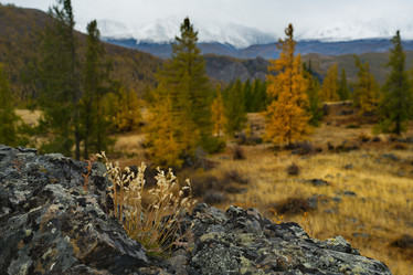 Similar image 21661792