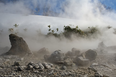 Similar image 21661793