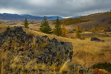 Similar image 21661794