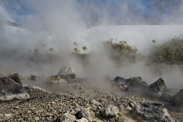 Similar image 21661795