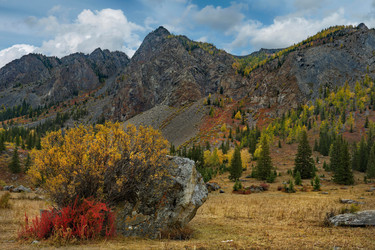 Similar image 21661796