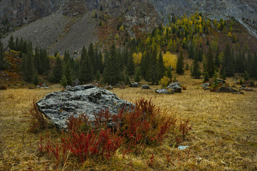 Similar image 21661798