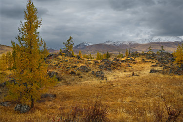 Similar image 21661800