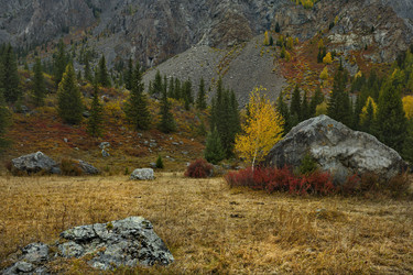 Similar image 21661801