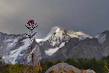 Similar image 21661816