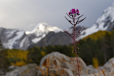 Similar image 21661818