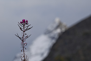 Similar image 21661819