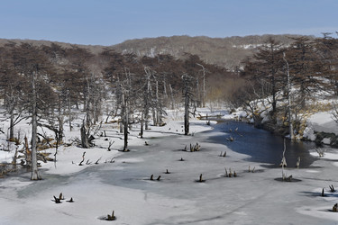 Similar image 21661494