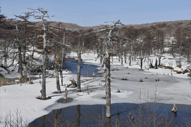 Similar image 21661495