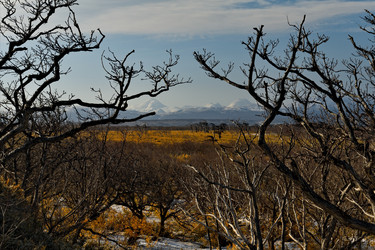 Similar image 21661497