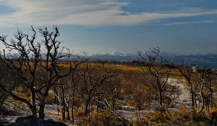 Similar image 21661498