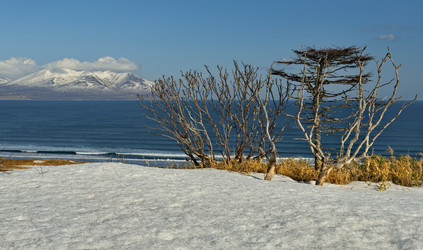 Similar image 21661505