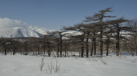 Similar image 21661506