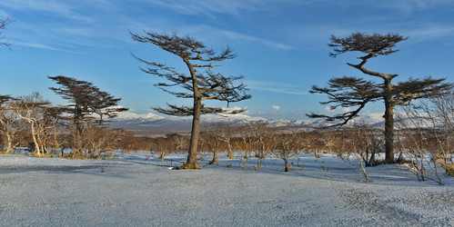 Similar image 21661507