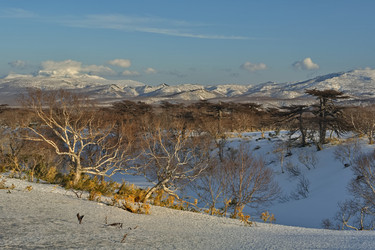 Similar image 21661508