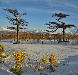 Similar image 21661509