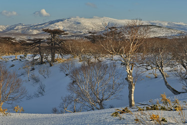 Similar image 21661510