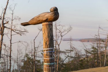 Similar image 21662289