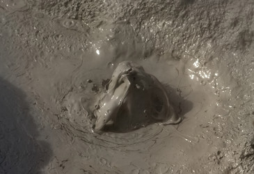 Similar image 21661519