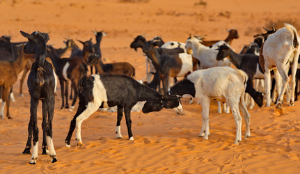 Similar image 21661520