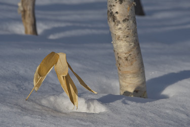 Similar image 21661837