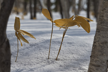 Similar image 21661841