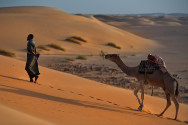 Similar image 21661842