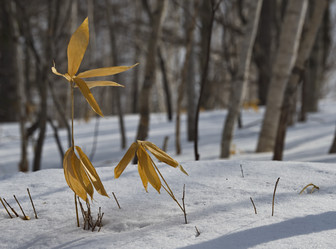 Similar image 21661845