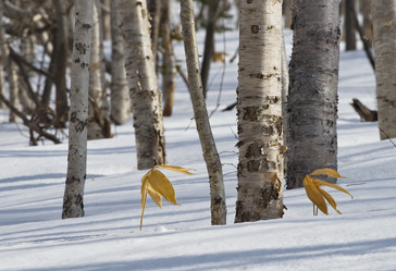 Similar image 21661846