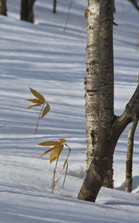 Similar image 21661847