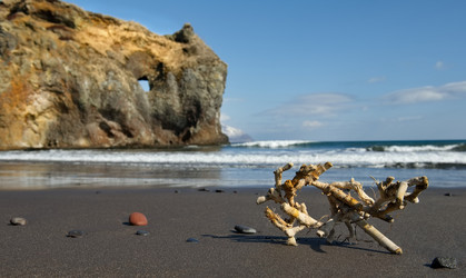 Similar image 21661849