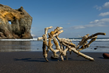 Similar image 21661850