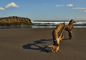 Similar image 21661852