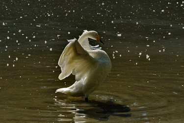 Similar image 21661529