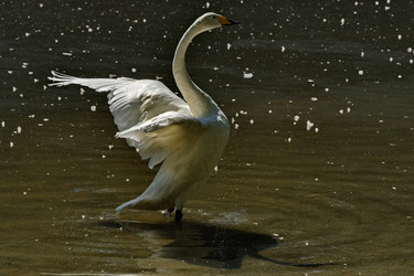 Similar image 21661534