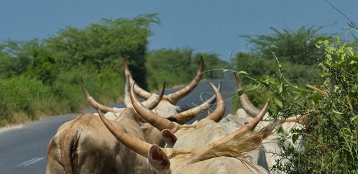 Similar image 21661535