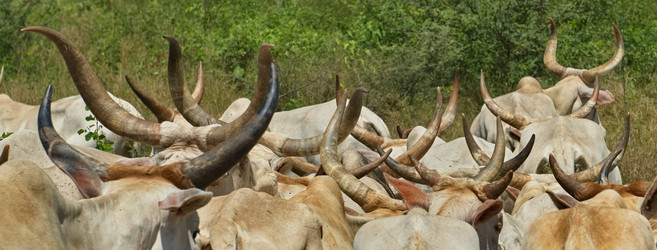 Similar image 21661536