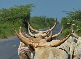 Similar image 21661537